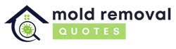 Mold Removal Rockville